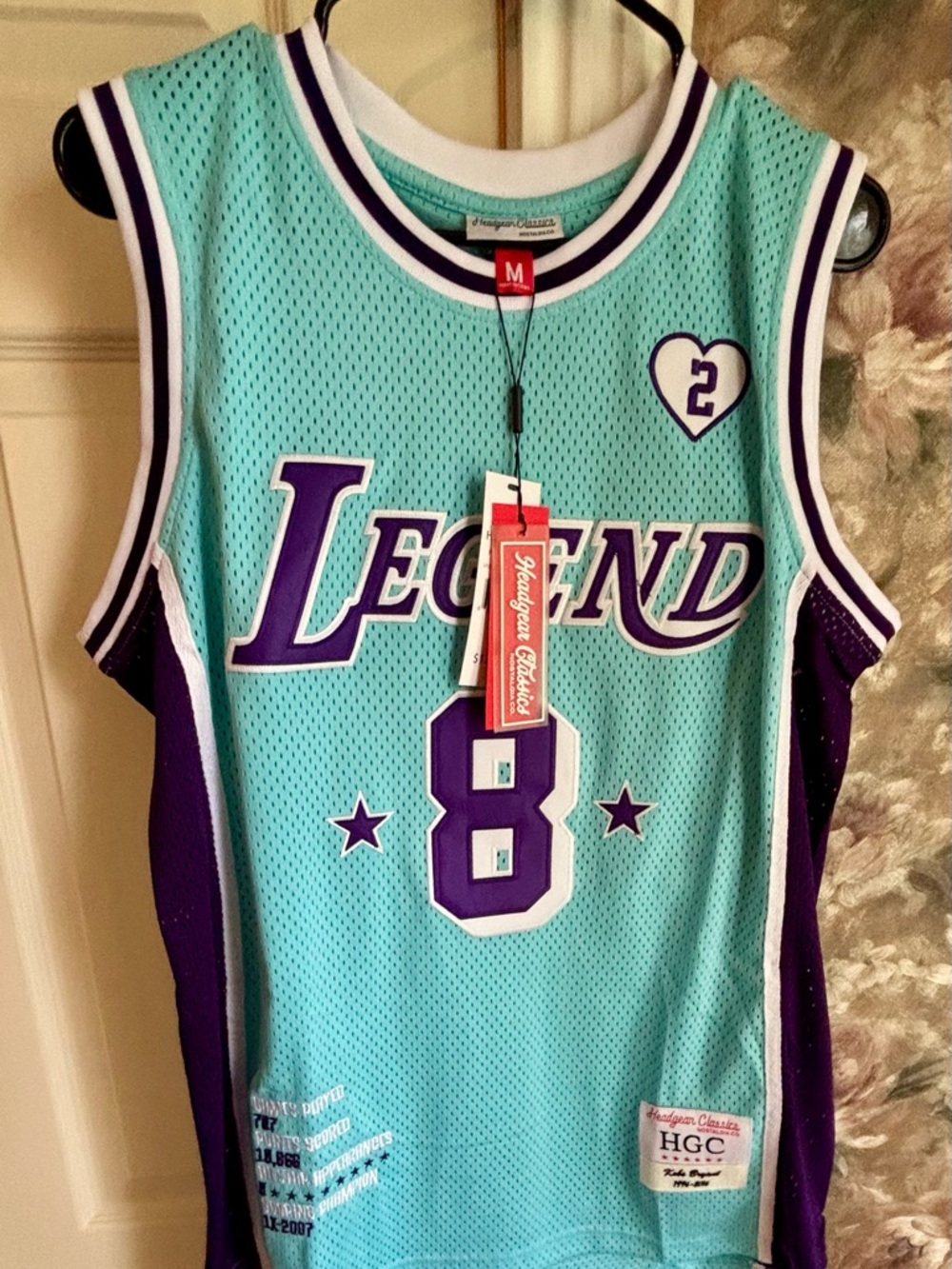 Legend Mens Teal & Purple Basketball Jersey - HGC